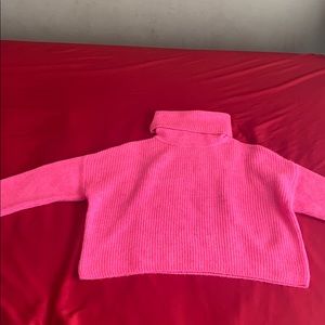 Cropped/Turtle Neck Sweater